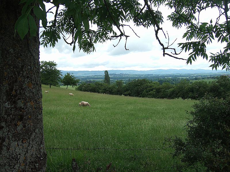 2010-05- (14).JPG